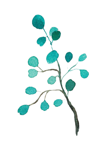 Få svar på dina frågor och låt ditt beslut växa fram likt löven på en kvist. FAQ om ledarcoaching