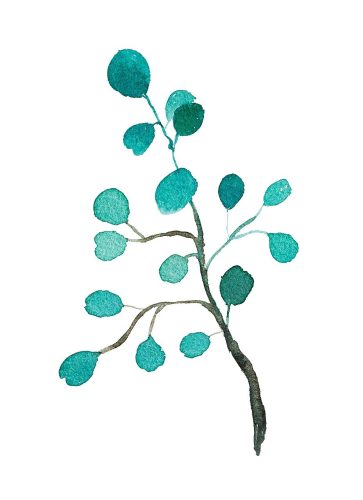 Få svar på dina frågor och låt ditt beslut växa fram likt löven på en kvist. FAQ om ledarcoaching